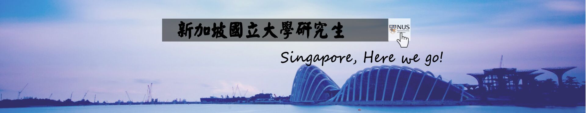 2016新加坡國立大學研究生申請專業